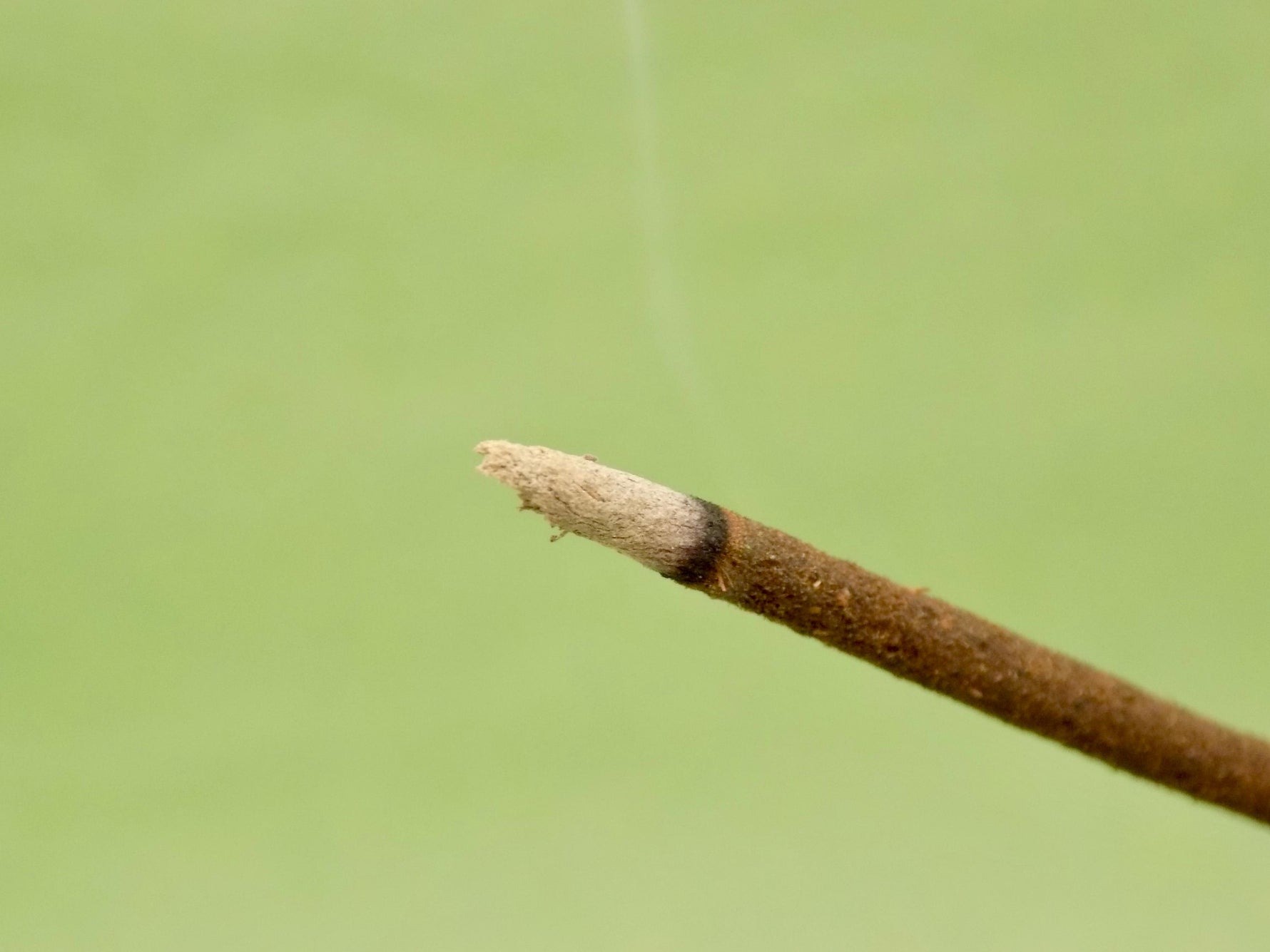 Burning Incense