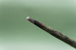Petra Hand Rolled Natural Cedarwood, Vanilla & Saffron Incense Sticks