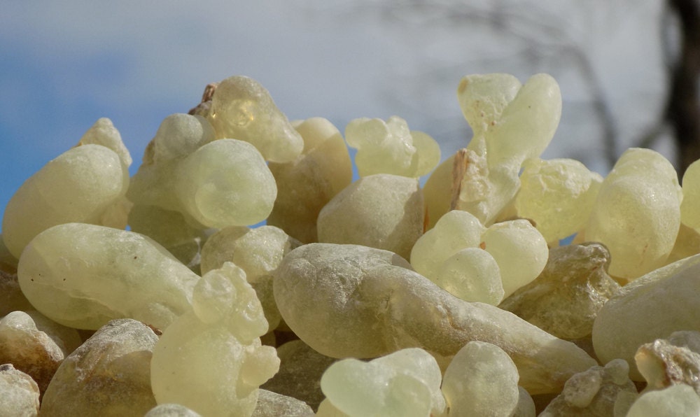 Hojari Green Frankincense